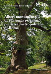 Alberi monumentali di Platanus orientalis nell area metropolitana di Roma
