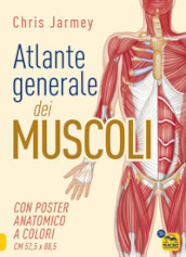 Atlante generale dei muscoli. Con poster anatomico a colori