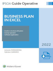 Business plan in Excel