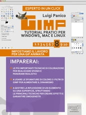GIMP. Tutorial pratici per Windows, Mac e Linux. Livello 8