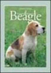 Il beagle
