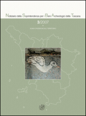 Notiziario della Soprintendenza per i Beni Archeologici della Toscana (2007). 3.