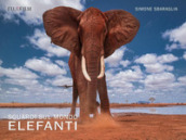 Sguardi sul mondo: elefanti. Ediz. illustrata