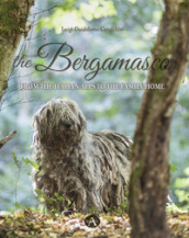 The bergamasco. From the Italian Alps to the family home