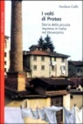I volti di Proteo. Storia della piccola impresa in Italia nel novecento