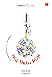 Big data B&B