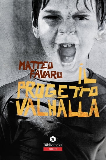 Il Progetto Valhalla