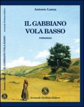 Il gabbiano vola basso