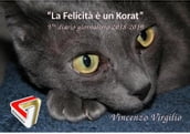 La Felicità è un Korat